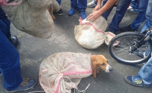 Imagen de la noticia