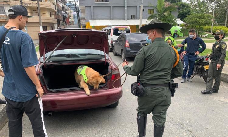 Imagen de la noticia