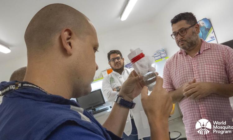 Imagen de la noticia