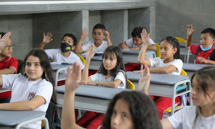 Imagen de la noticia